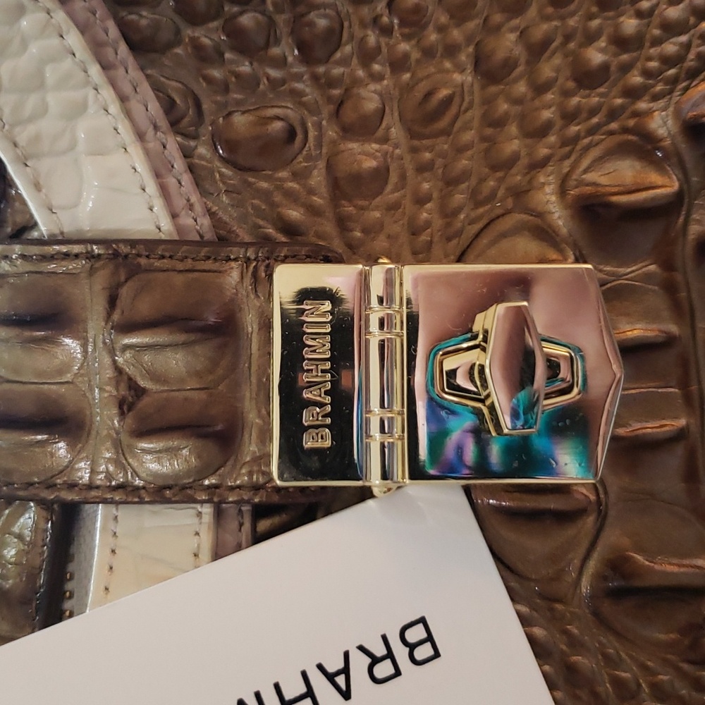 Brahmin Elisa Oak Primrose Hobo Bag - Picture 8 of 16